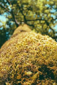 San pham 17 - binoshop1