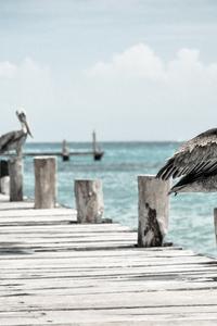 San pham 7 - binoshop1